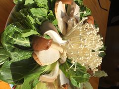 -大理老字号·舟渔的鱼野生菌海景餐厅(双廊店)