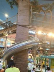 -卡通尼·Safari非洲探索乐园·生日会(金桥国际商业广场店)