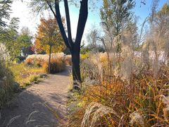 -野鸭湖国家湿地公园