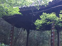 -杭州半山国家森林公园