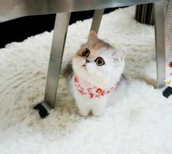 -布恩儿童摄影