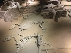 -洛阳周王城天子驾六博物馆