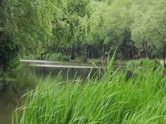 -新江湾城公园
