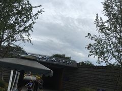 -白鹭湾湿地公园