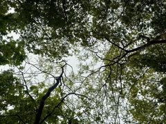 -长广溪湿地公园