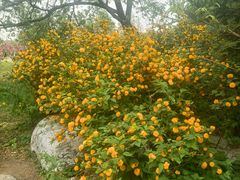 -北京植物园南门售票处