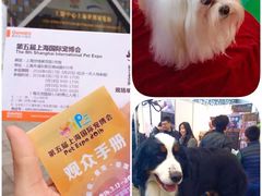 -东浩兰生上海世博展览馆