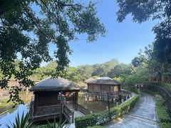 -罗浮山嘉宝田森林温泉度假酒店