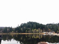 -五营红松林海景区