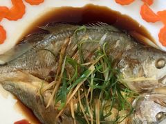 -爱月宝月嫂·育儿嫂(哈尔滨总店)