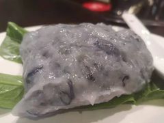 -南海鸽天下(肇庆店)