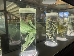 -广东中医药博物馆