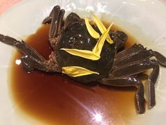 -上海柏悦酒店·世纪100牛排馆