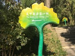 -浮来山风景区