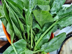 -三里屯土灶炖公鸡地锅鸡(江东店)