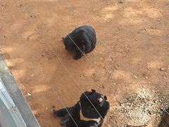 -昆明动物园