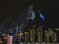 -重庆两江夜游-交运系列