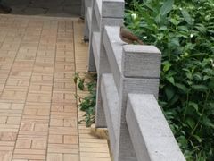 -云溪植物园