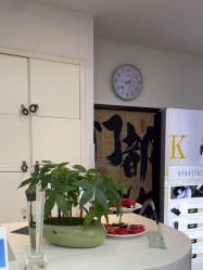 -LJOY丽锦造型·烫发染发