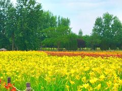 -汉长安城未央宫国家考古遗址公园