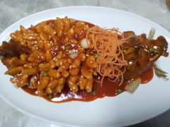 松鼠桂鱼-106餐厅(山水文园店)