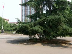 android_upload_pic-中国政法大学(昌平校区)