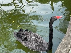 -海南热带野生动植物园