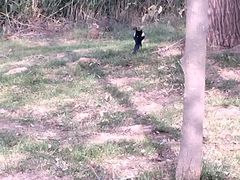 -羊亭河湿地公园