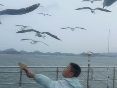 -海驴岛(荣成市)