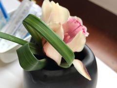 -上海和平饭店华懋阁 Cathay Room