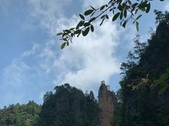 -塔云山