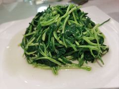 -丁老爷子苏香圆