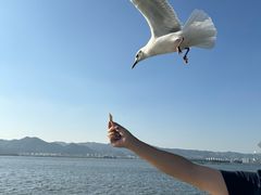 -海埂大坝