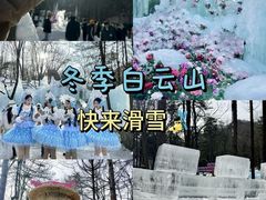 -洛阳白云山景区