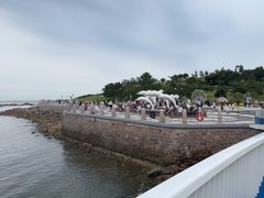 -小麦岛公园