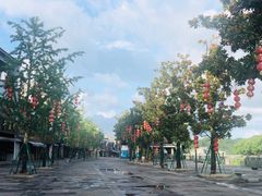 -溪口-滕头旅游景区