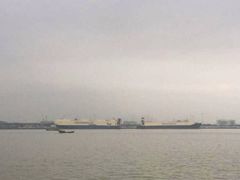 android_upload_pic-海鸥岛