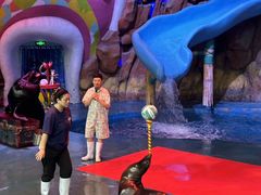 -烟台海昌鲸鲨海洋公园