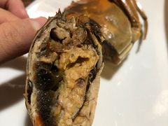 -呼吸森林·生态农庄农家乐私房菜