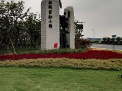 -湘湖金融镇