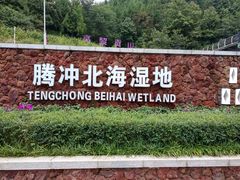 -腾冲北海湿地