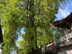 -金堂县云顶石城风景区