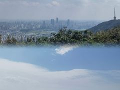 -惠山国家森林公园