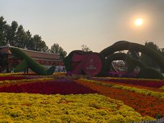 -大兴滨河森林公园