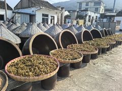 -苏州市吴中区光福窑上花果蜜饯厂