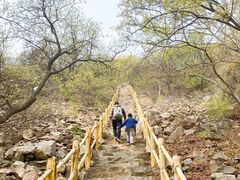 -北京西山国家森林公园