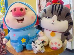 -PAWTOY爪e玩偶店(天兴罗斯福店)