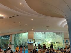 -帝企鹅自助餐厅•儿童岛•真企鹅(长隆企鹅酒店)