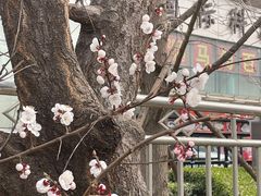 -东关吉祥西安腊汁肉夹馍(健德门店)