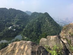 -南山植物园